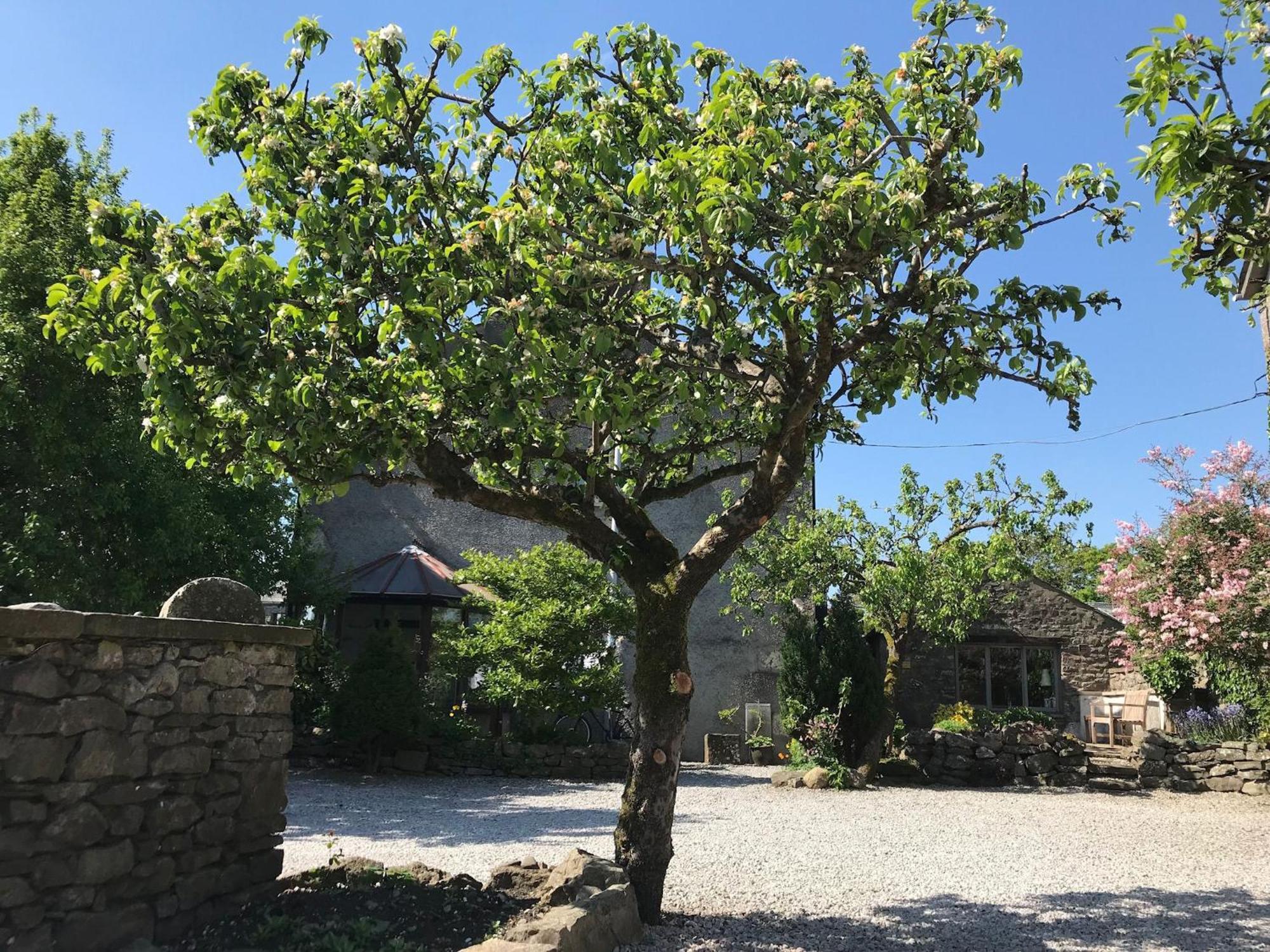 Pear Tree Barn Villa Crooklands Ngoại thất bức ảnh